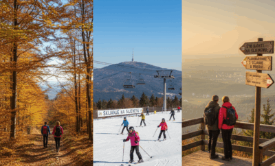 Što raditi na Sljemenu: planinarenje, skijanje i uživanje u prirodi